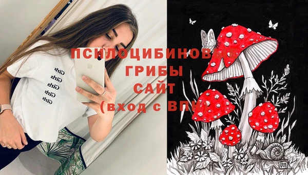 mdpv Козельск