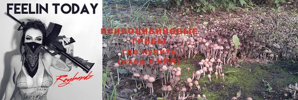 ALPHA PVP Киреевск
