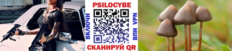 Купить закладки  Петухово  Галлюциногенные грибы ЛСД 