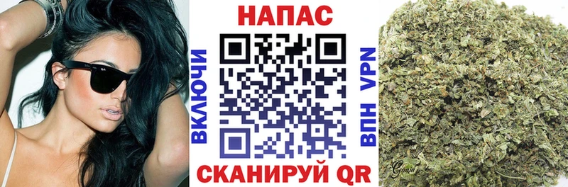 Бошки Шишки планчик Купить закладки Петухово